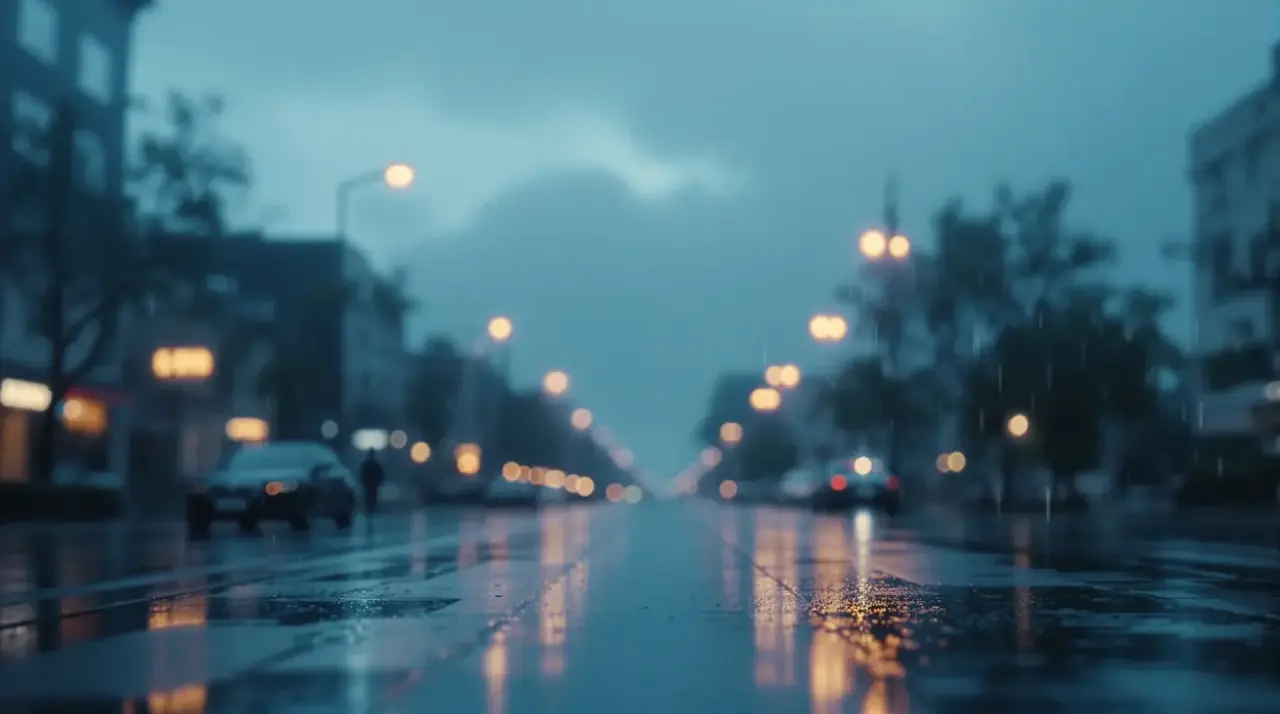 日韩欧美综合 - 雨夜城市街景背景